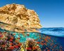 redsea