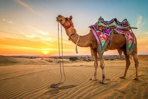 Туры в Шарм Эль Шейх
